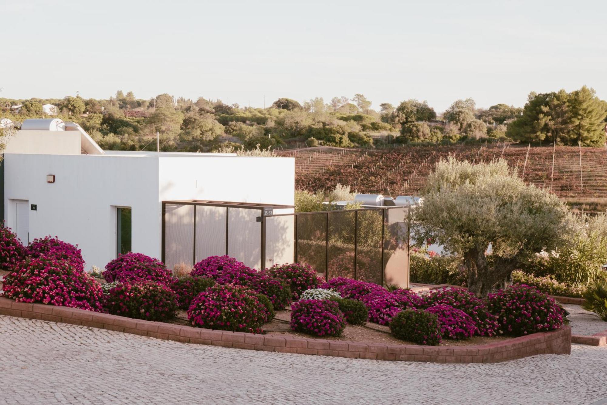 Quinta Dos Vales Wine Estate Pensionat Estômbar Exteriör bild