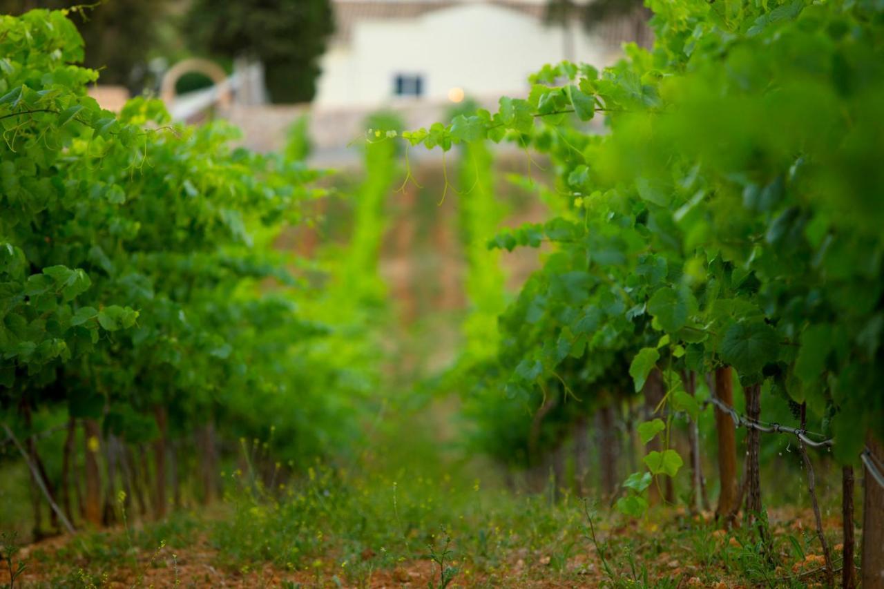 Quinta Dos Vales Wine Estate Pensionat Estômbar Exteriör bild